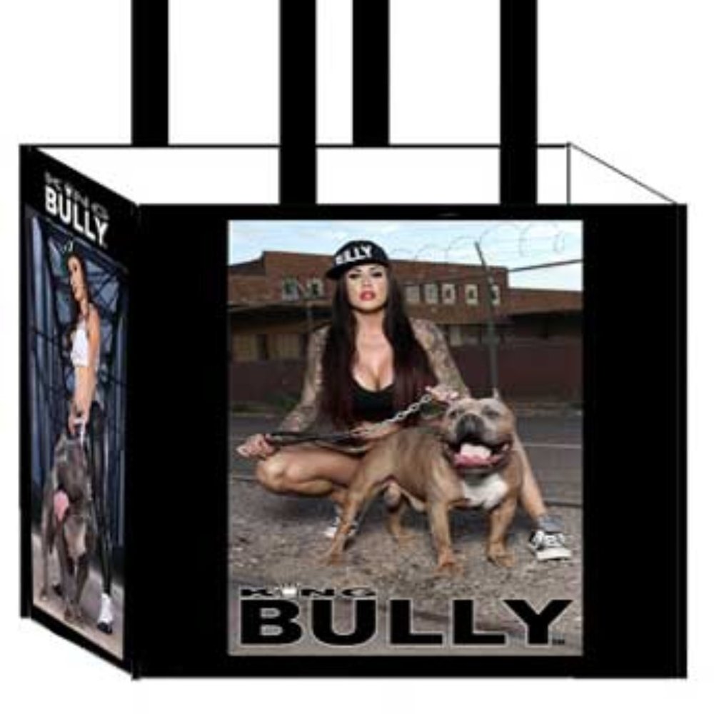 King Bully shopping tote bag NWT by DGA